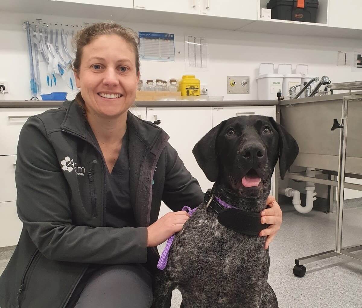 Veterinary Hospital Near Me
