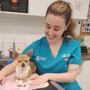In house Diagnostics in Torquay North