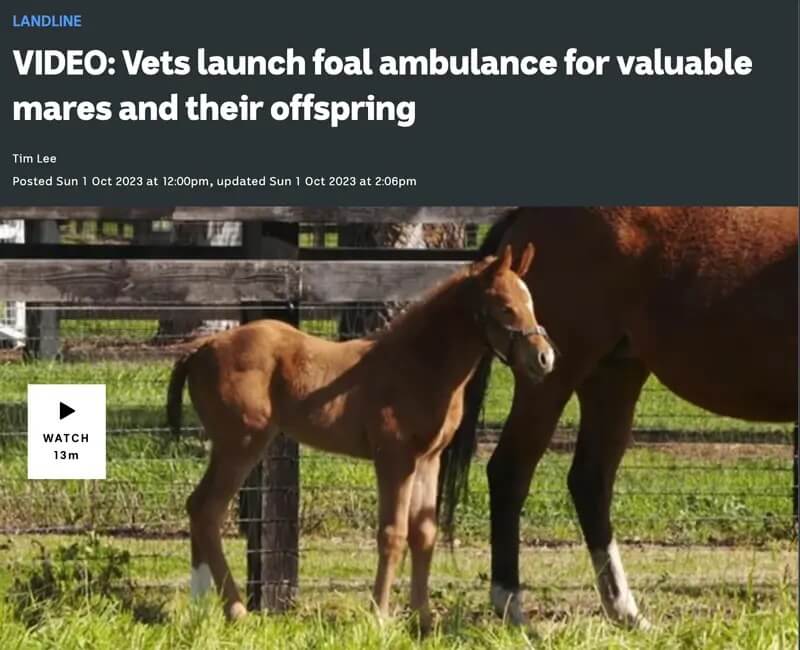 Foal Ambulance Video Image