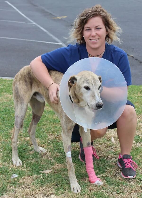 Brave Rory – Snake Bite Survivor