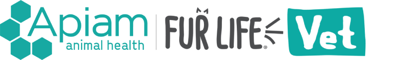 Fur Life Vet Torquay